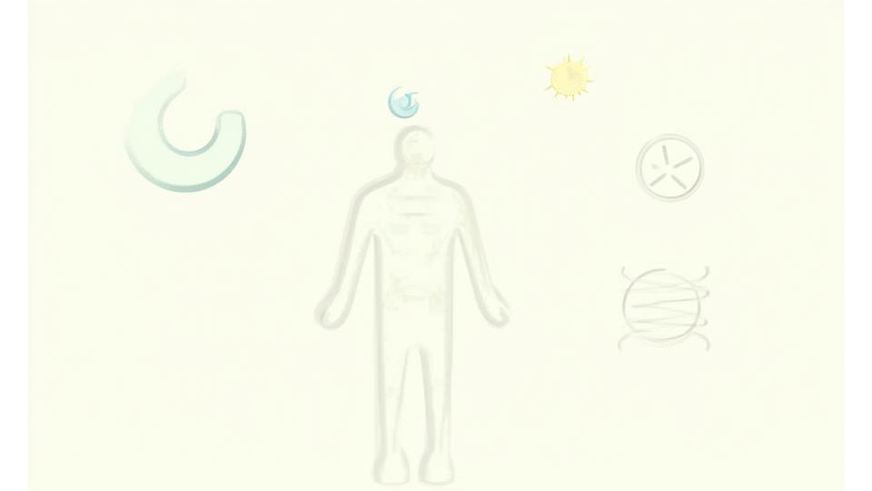 Ilustrácia rôznych faktorov ovplyvňujúcich metabolizmus: postava človeka, hodiny aktivity, špirála DNA, endokrinný systém